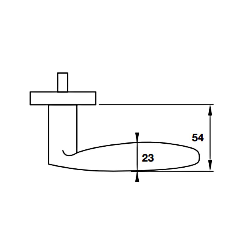 Ảnh 3